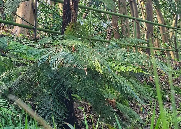 Chateau De Chantore Bacilly