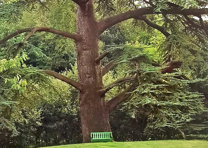 Chateau De Chantore Oda ve Kahvaltı Bacilly