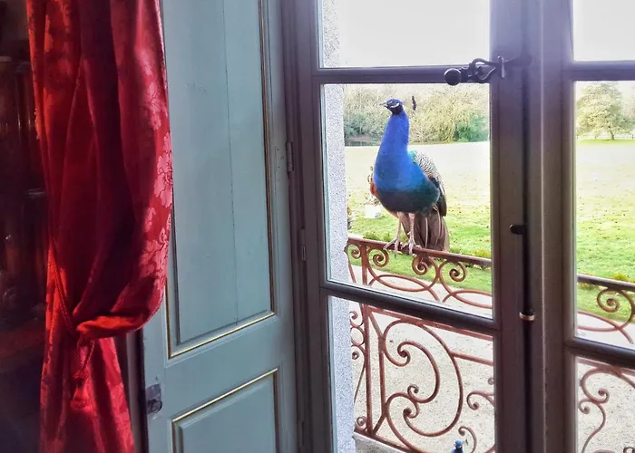 Chateau De Chantore Bacilly