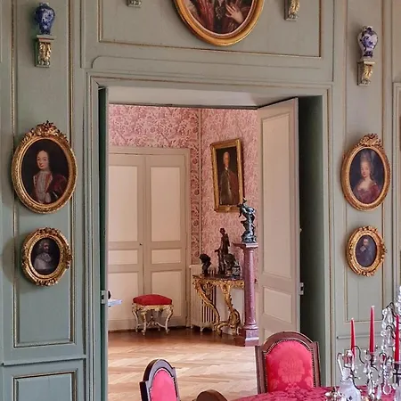 Chateau De Chantore Bed & Breakfast Bacilly