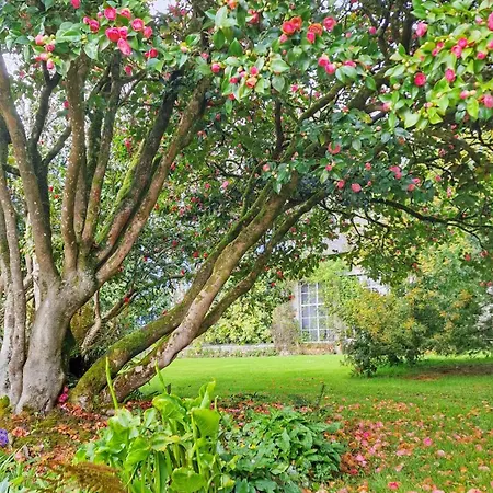 Chateau De Chantore 4*