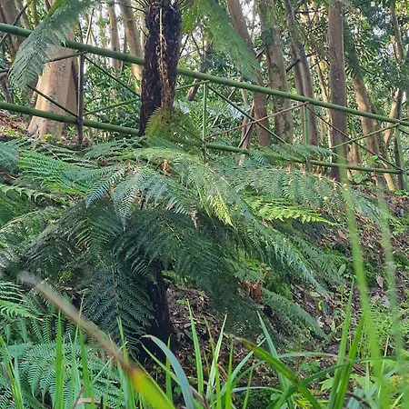 Chateau De Chantore Bacilly