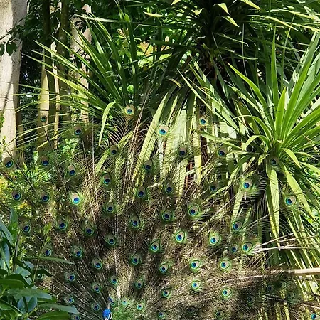 Bed & Breakfast Chateau De Chantore 4*