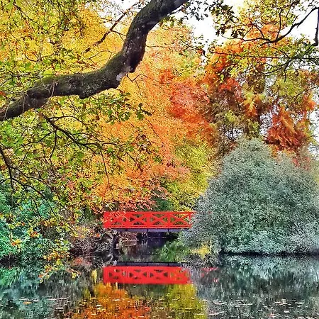 Chateau De Chantore Bed & Breakfast Bacilly