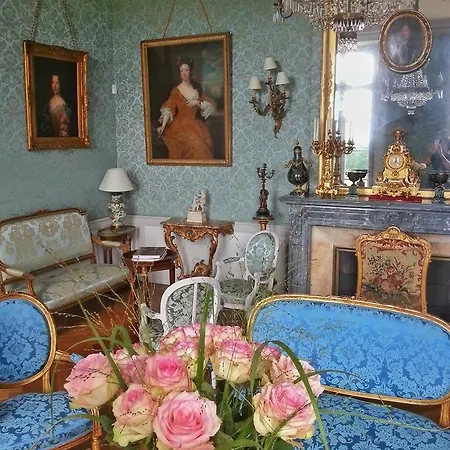 Chateau De Chantore Bed & Breakfast Bacilly