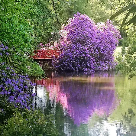 Chateau De Chantore Bed & Breakfast Bacilly