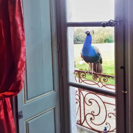 Chateau De Chantore Bacilly