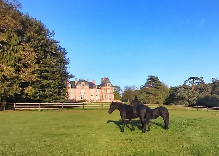 Chateau De Chantore 4*