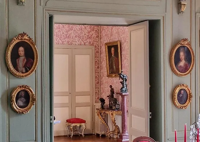 Chateau De Chantore Bed & Breakfast Bacilly