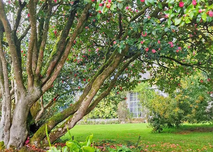 Chateau De Chantore 4*