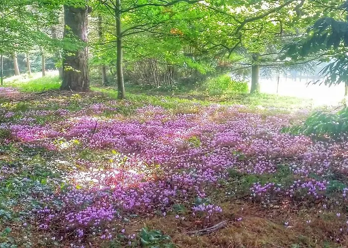 Chateau De Chantore Отель типа 