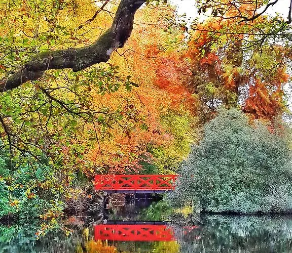 Chateau De Chantore Bed & Breakfast Bacilly