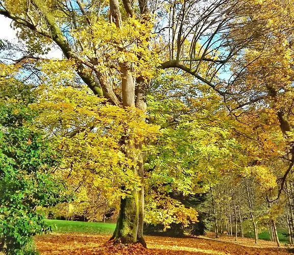 Chateau De Chantore Bed & Breakfast Bacilly