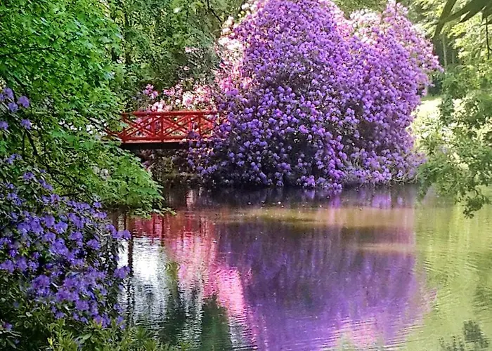 Chateau De Chantore Bed & Breakfast Bacilly