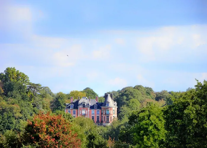 Chateau De Chantore 4* Bacilly